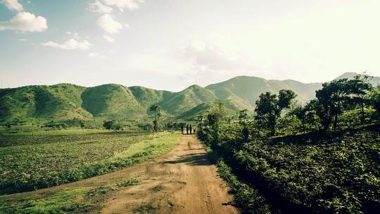 AbTF seeks to empower African cotton farmers                                                                                                                                                            