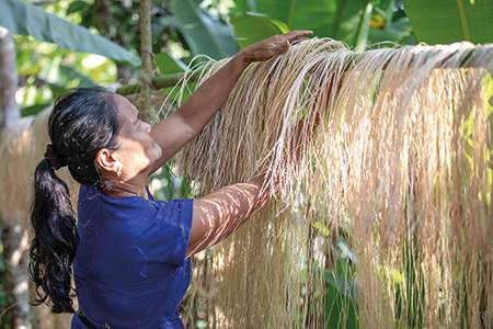 The rise of alternative natural fibres