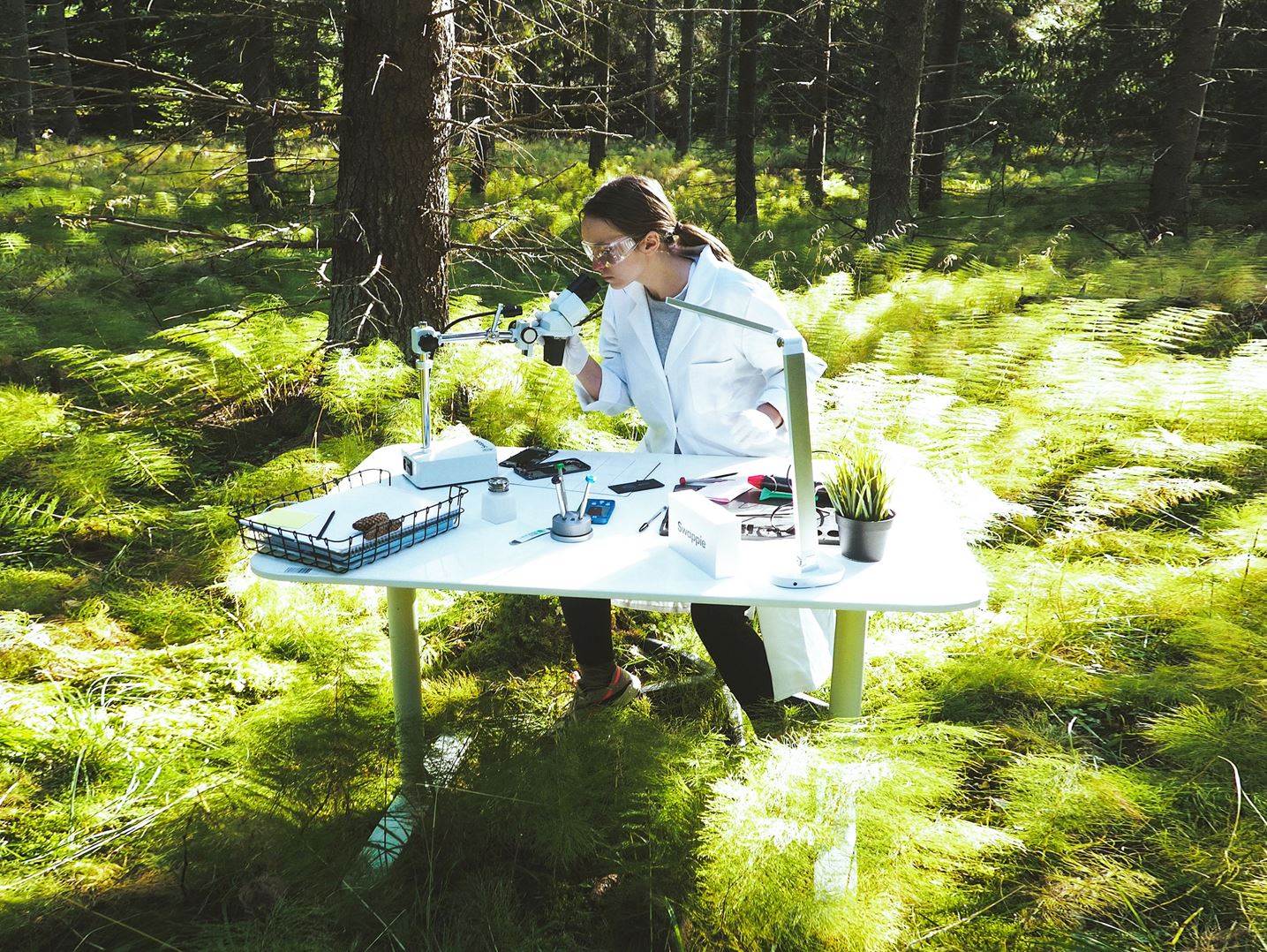 The results are in: ozone is safe for fabrics