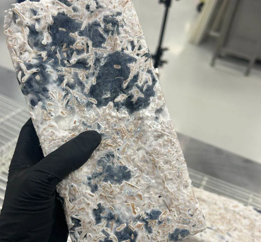 Mycelium in the mix for AGI
