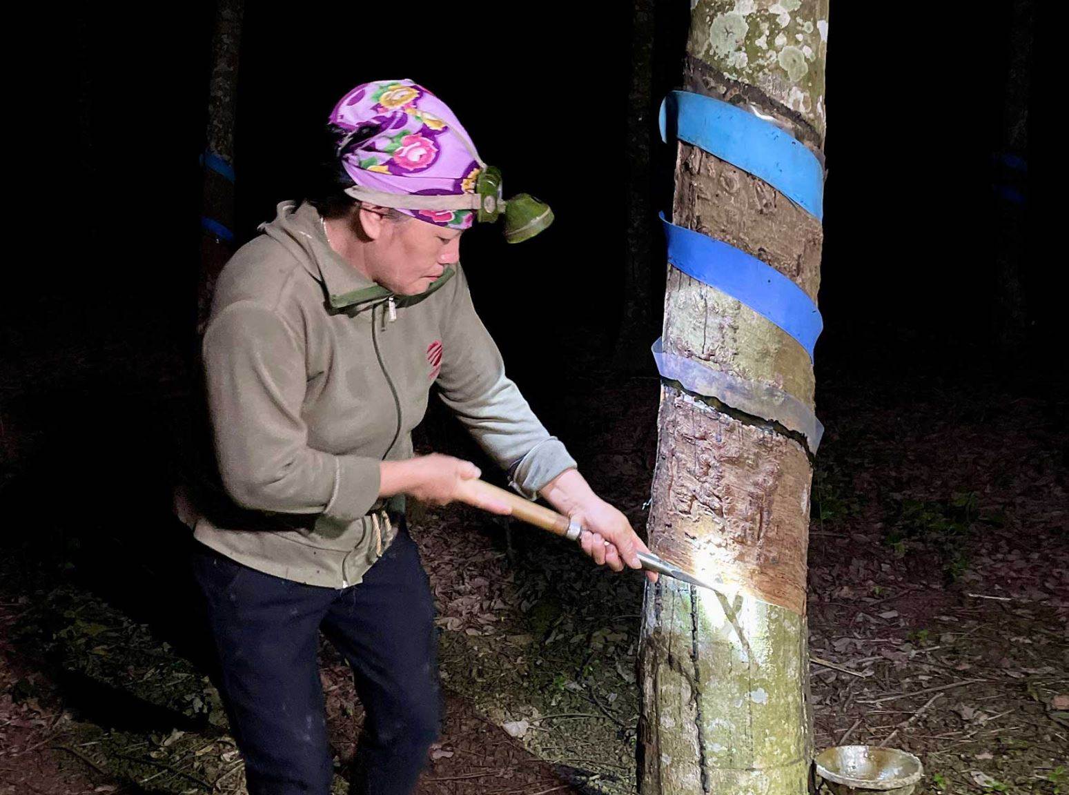 Yulex teases natural rubber stretch for denim