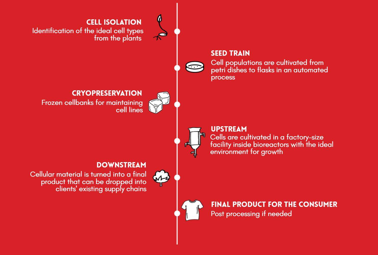 Galy raises $33m for bioreactor-grown cotton