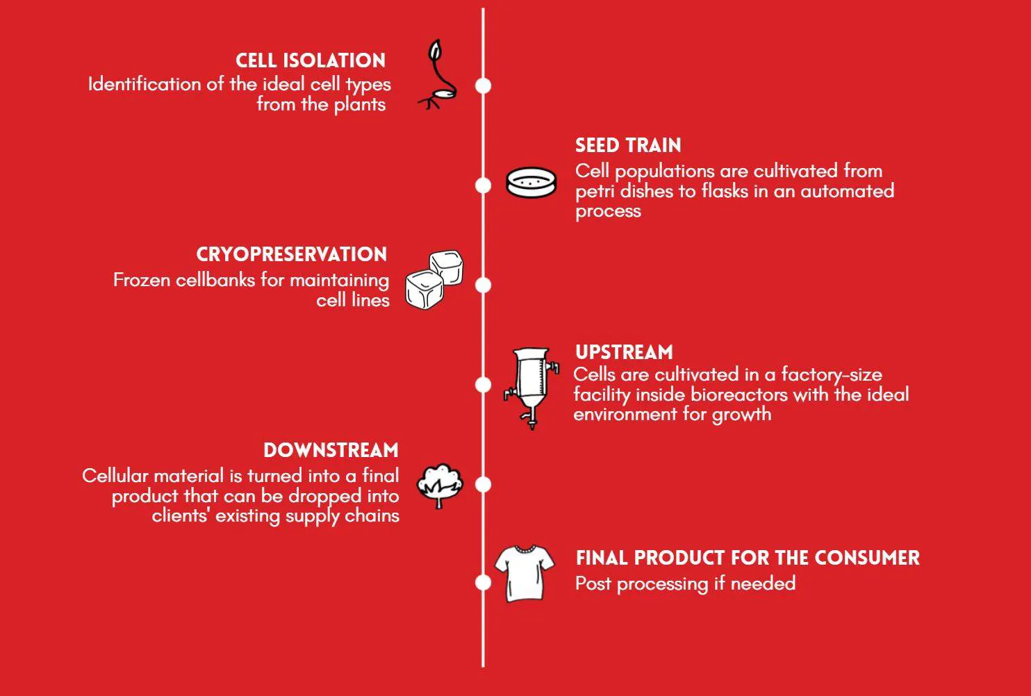 Galy raises $33m for bioreactor-grown cotton
