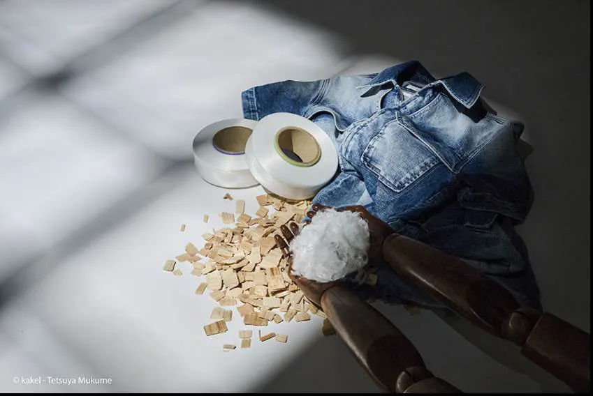 Biodegradable collaborative capsule