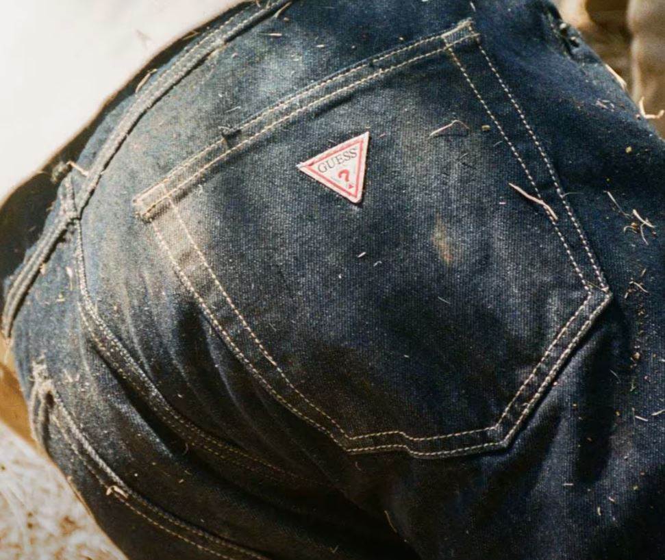 Guess predicts slower fourth quarter