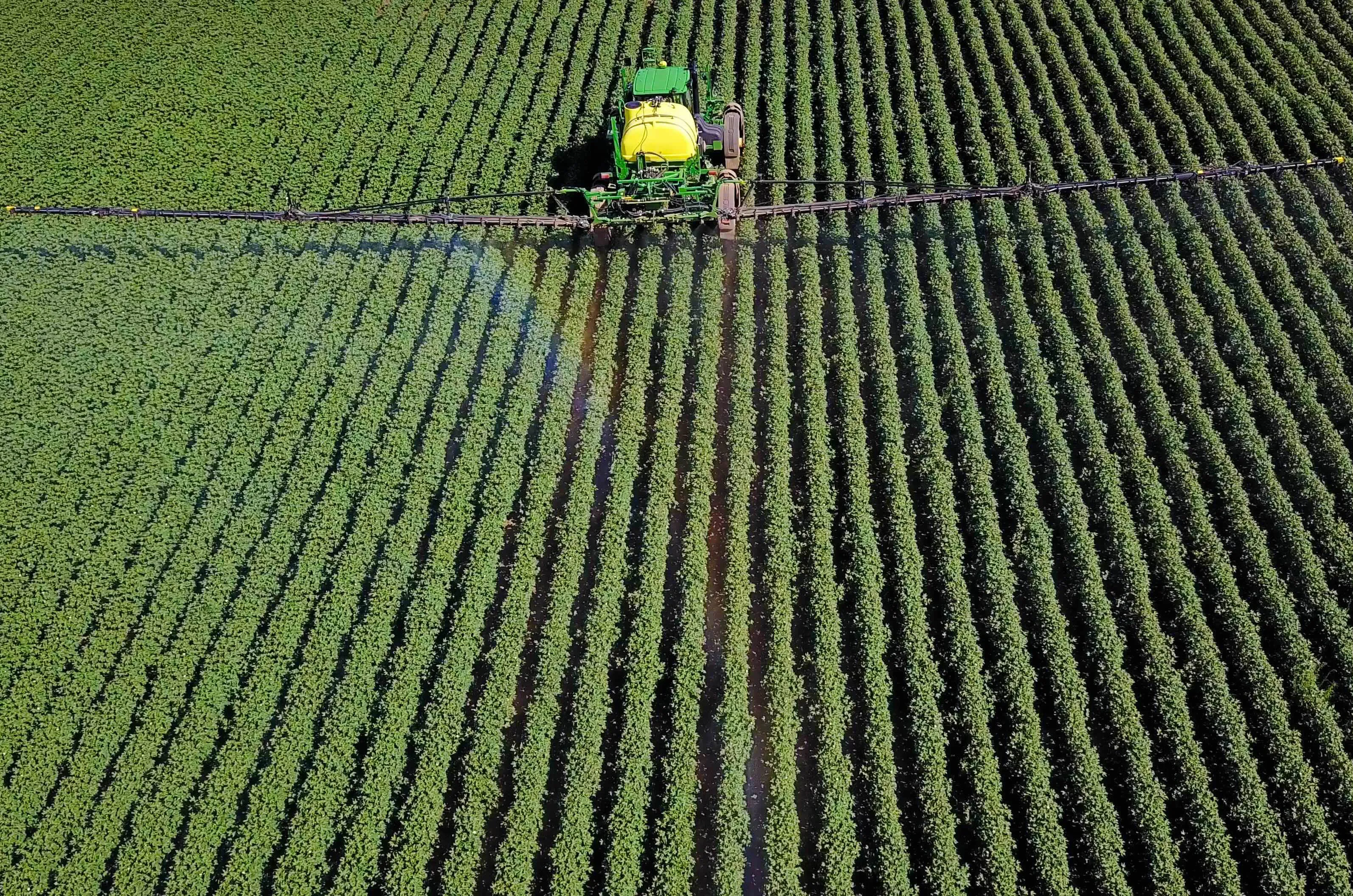 Better Cotton upgrades to certification