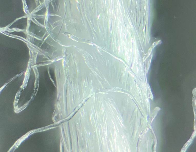 Fresh guidance on microfibres as partners back further research