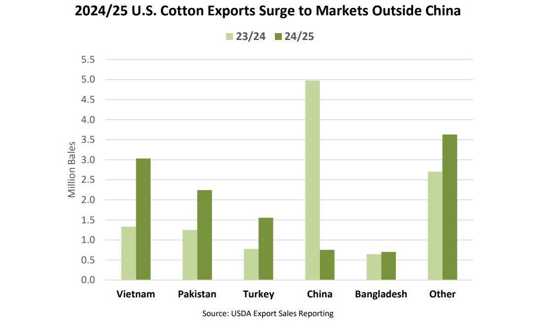 Vietnamese demand buoys US cotton but declines forecast