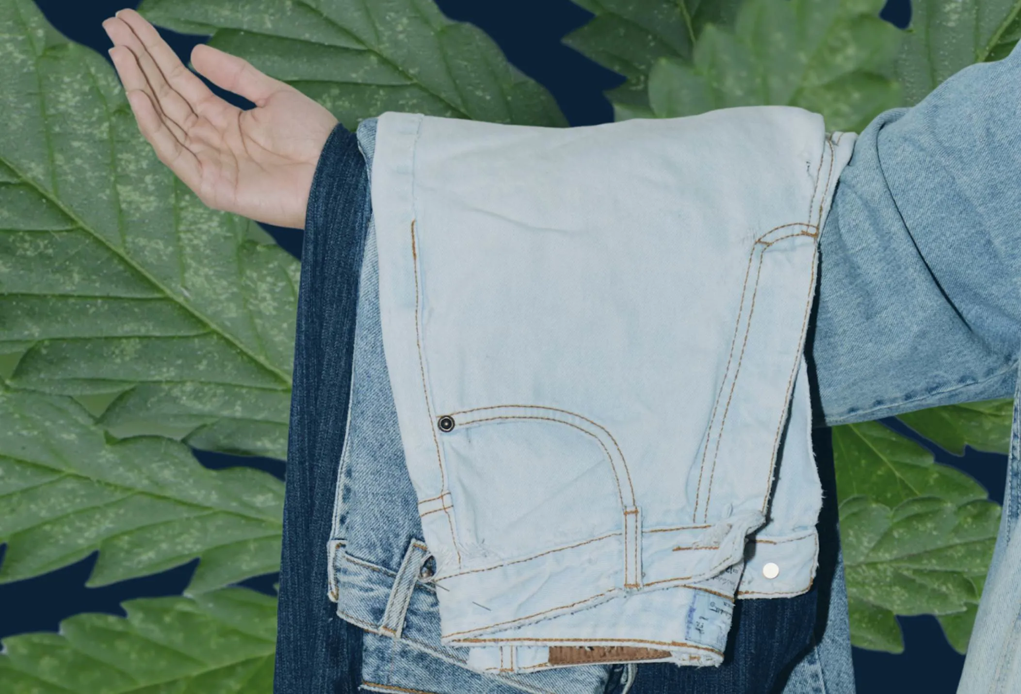 Pushing hemp ‘beyond 50’