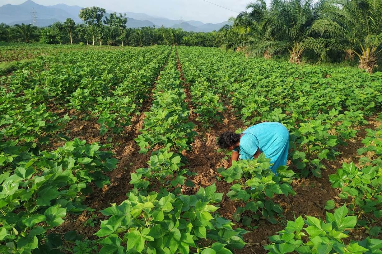 2026, a year in support of women farmers                                                                                                                                                                