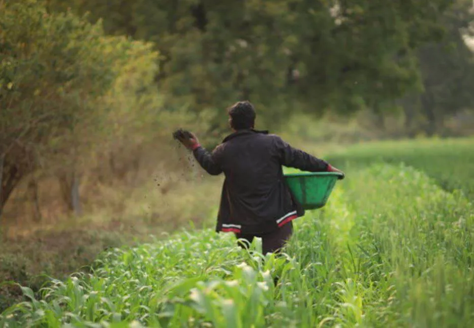 India: Microsoft deal to create co-benefits for cotton farmers