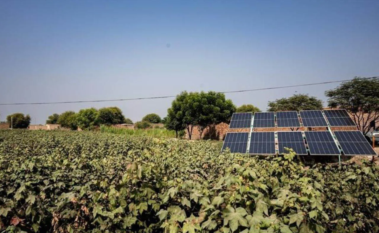 M&S invests in solar support for cotton farmers